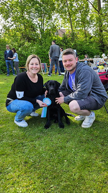 Heidelberg Hills Labradors